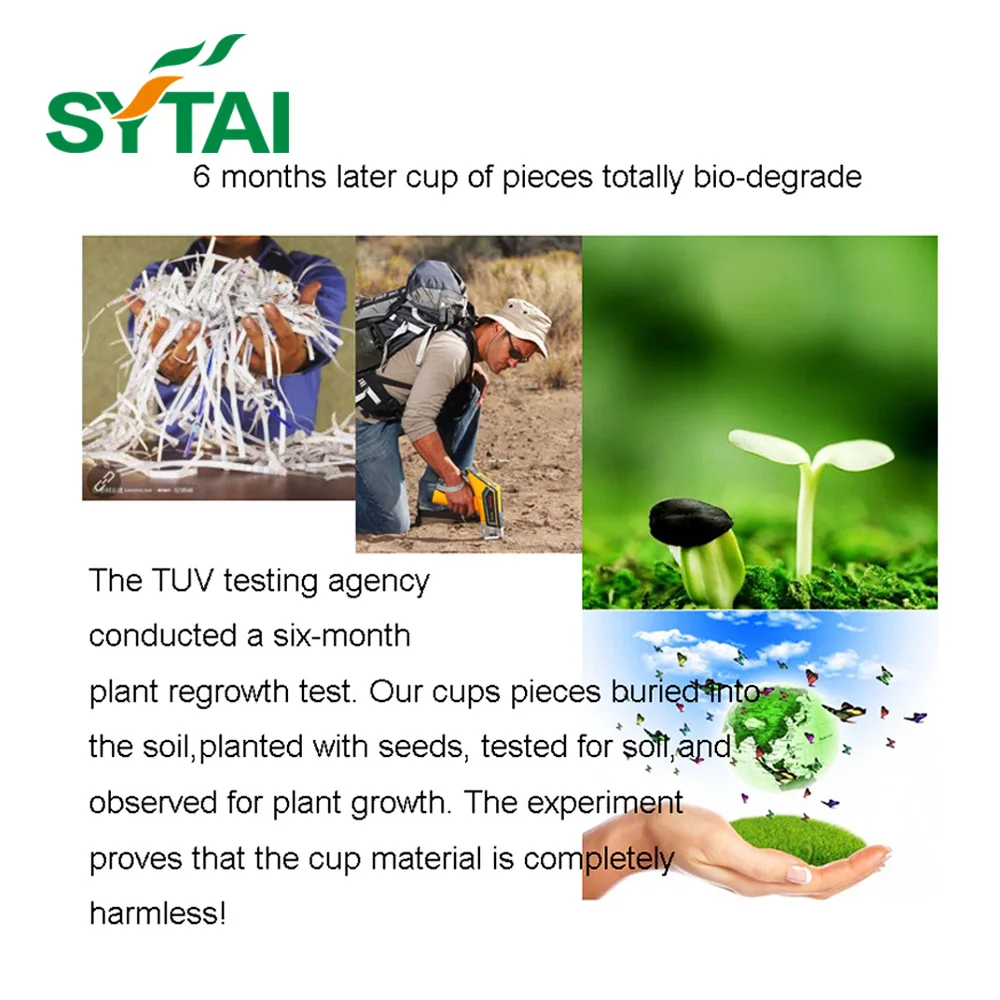 wholesale biodegradable sugarcane tableware disposable bagasse 10 inch compostable paper plates