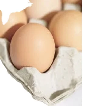 Курица/утка/Птица/перепелиные/гусиные яйца синий роликовый лоток для яиц