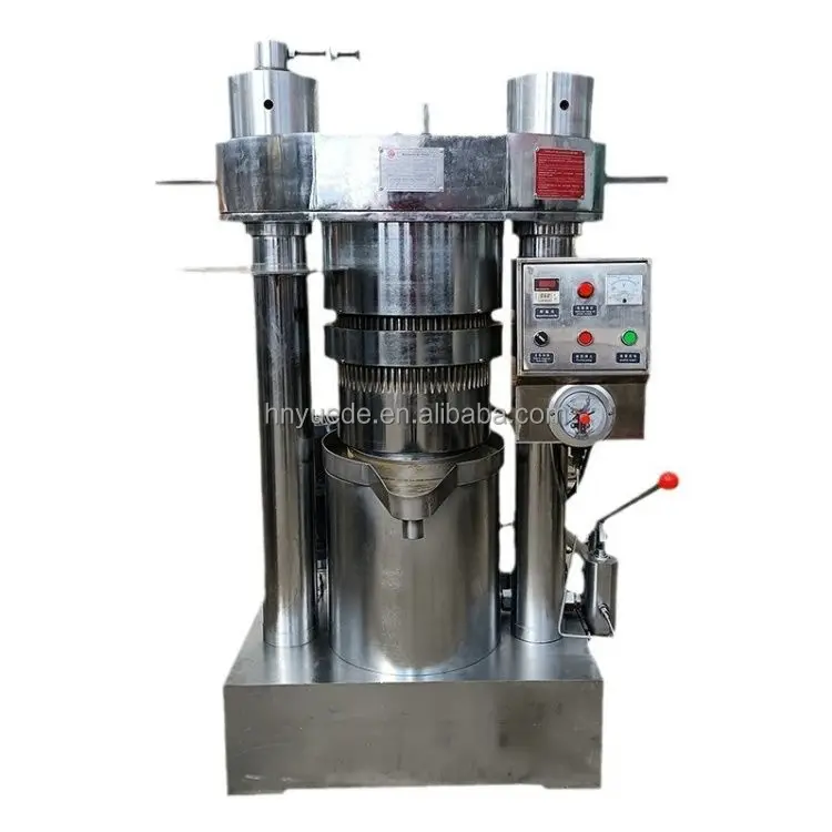 Moringa Soybean Cacao Oil Extractor Automatic Olive Canola Nut Oil Extraction Machine Small Cold Press Oil Machine