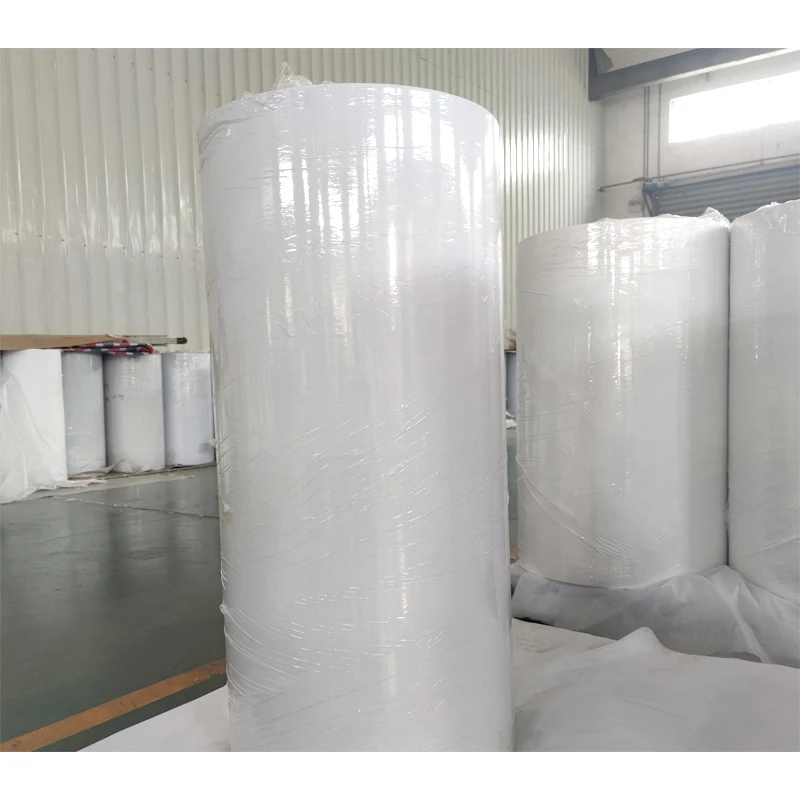 China Manufacturer Directly Non-Woven Spunbonded 100% Polypropylene Nonwoven Non Woven Fabric for Agriculture Medical and Homete