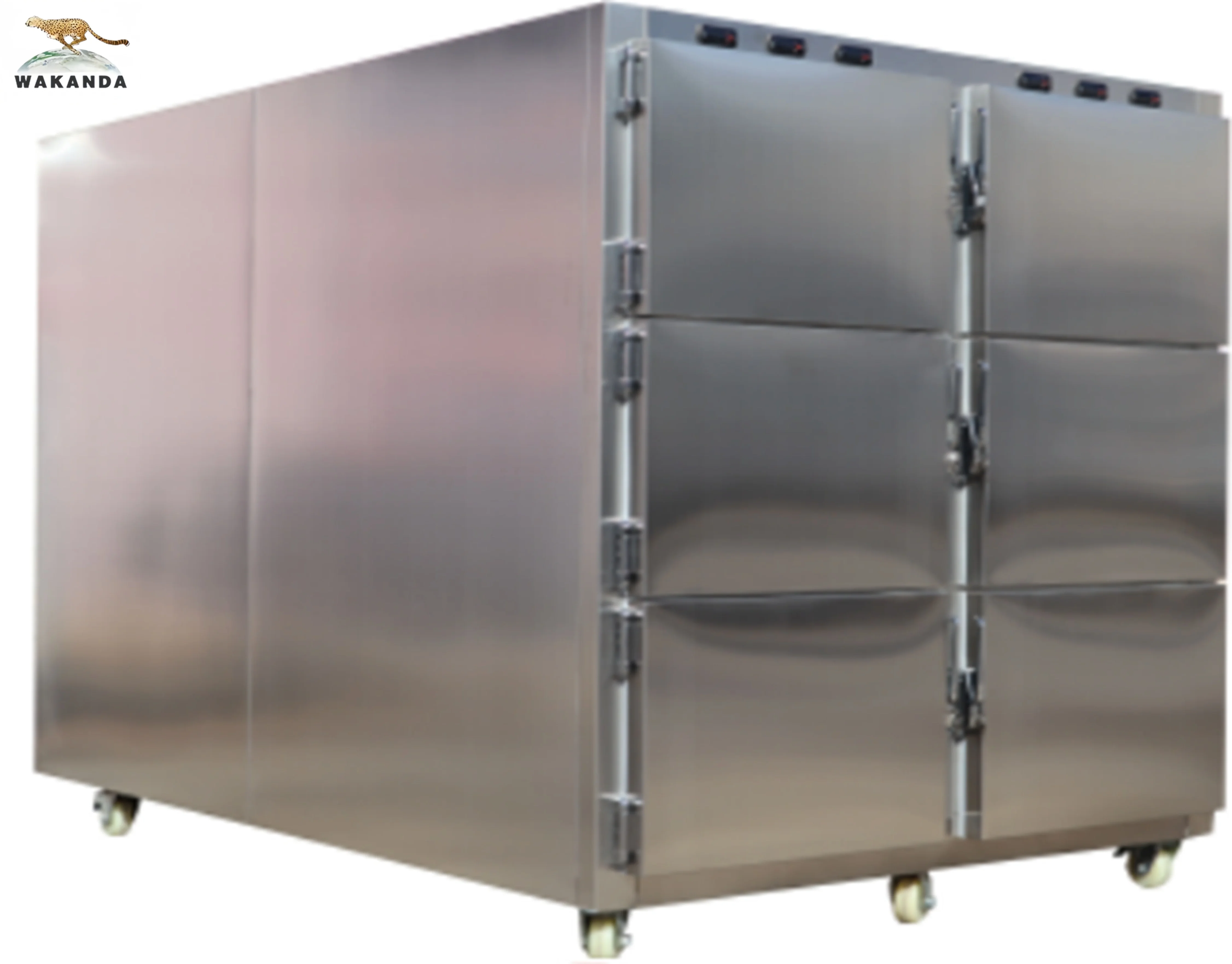 Cheap Price 6 Drawers Corpse Mortuary Cots Mortuary Fridge Funeral Home Coolers Supplies