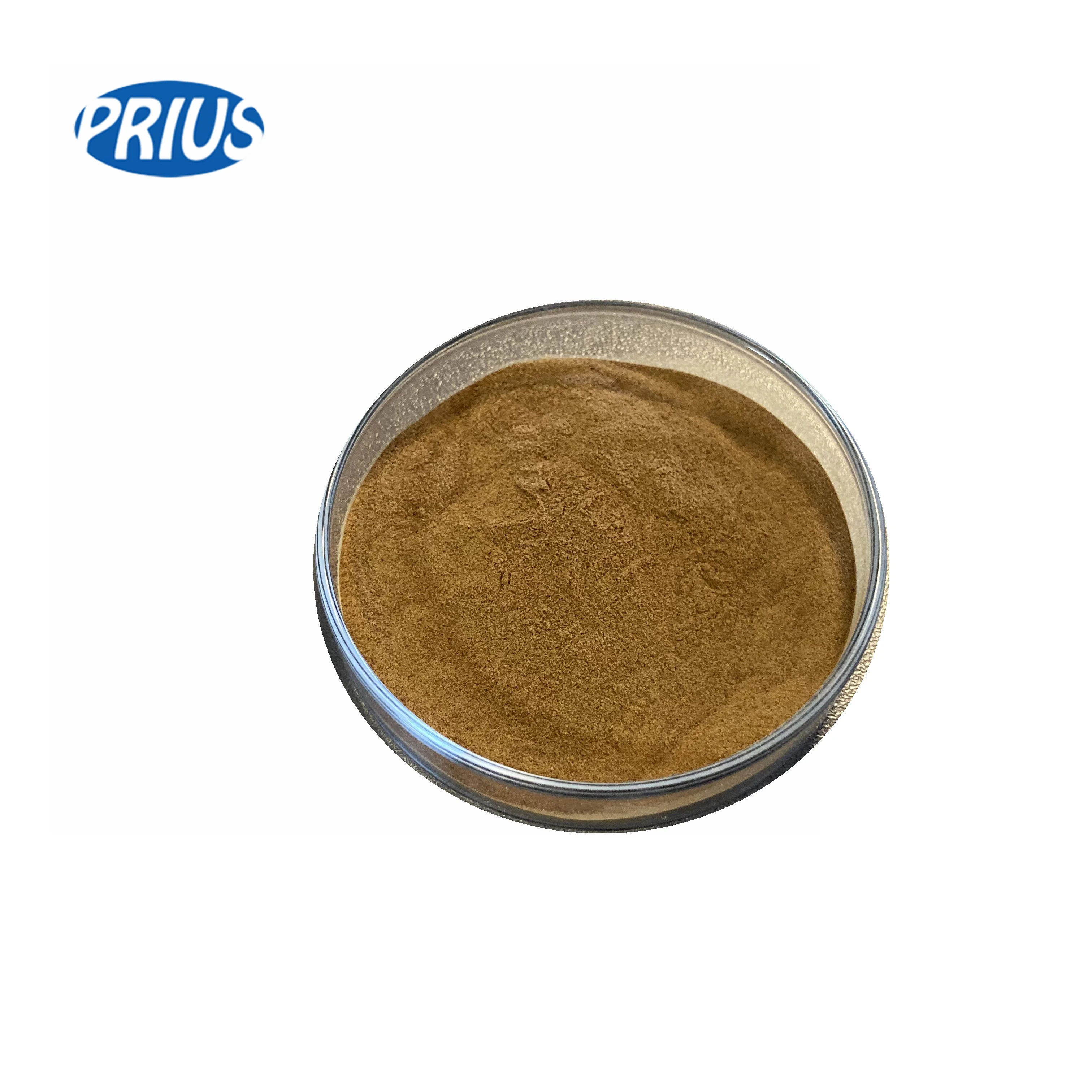 Factory supply Black Garlic powder pure natural 10:1 Black Garlic Extract