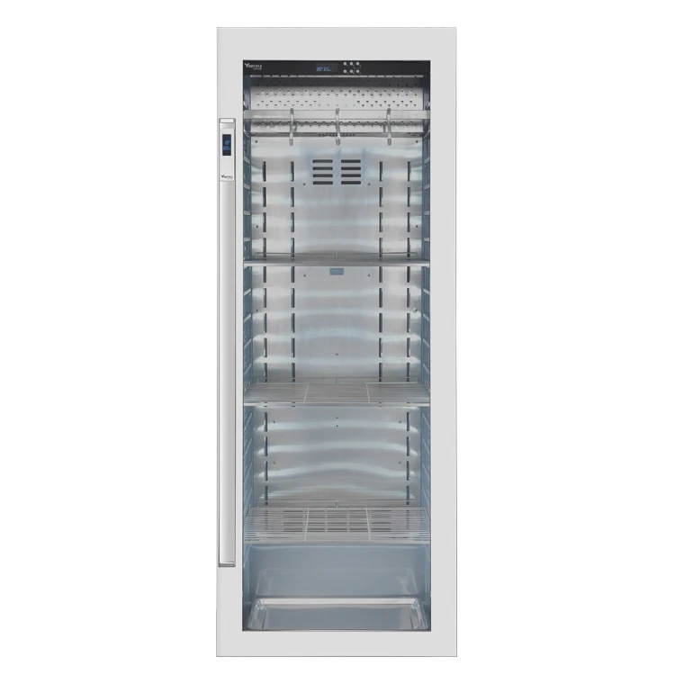 New Design Modern Compressor Cooling Fan Cooling Dry Ager Dry Aging Fridge Meat Drying Cabinet