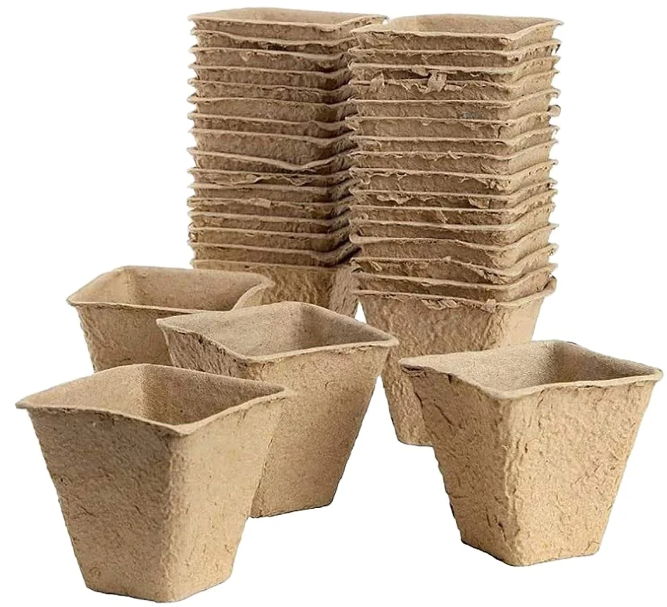 Professional Manufacturer Hot Sale Hydroponic Fodder Polystyrene Indoor Gardening Plant Nursery Seeding Propagation Cup Grow Tra