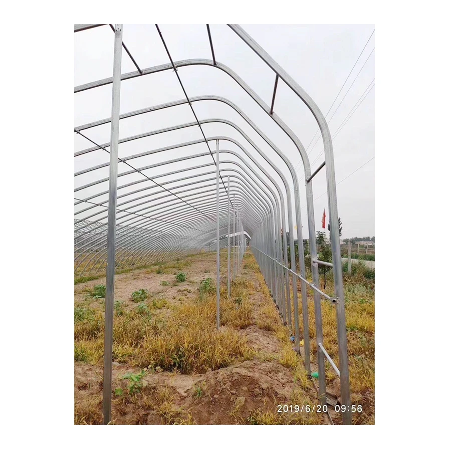Sell Well greenhouse plastic film agricultural serre agricole agriculture greenhouse tunnel greenhouse agricultural