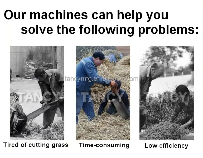 animal feed processing machine Cutter Chopper for Hay Crop Straw Silage Grass