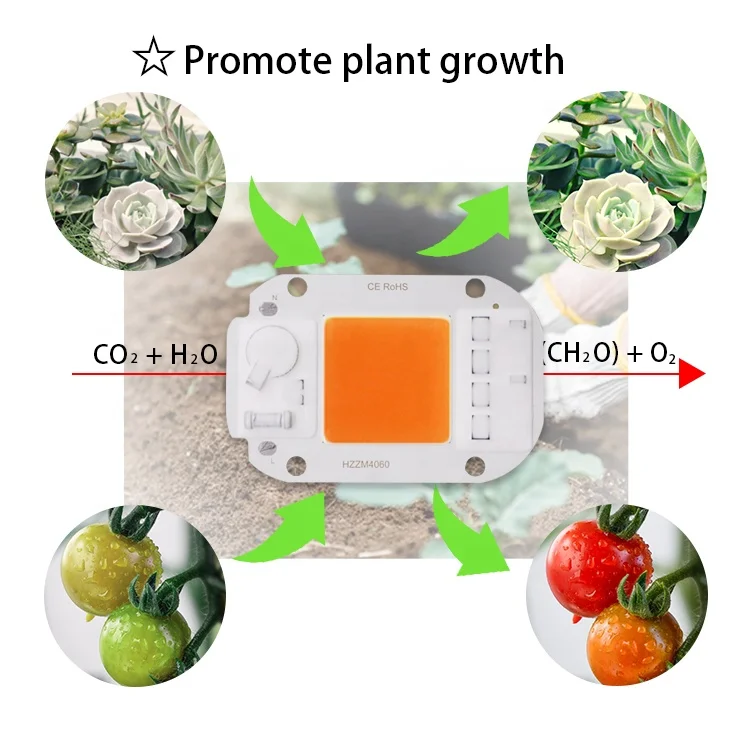 F6040 driverless AC cob LED free driver integrated 20W 30W 50w full spectrum led light chip cob 380nm~840nm COB LED