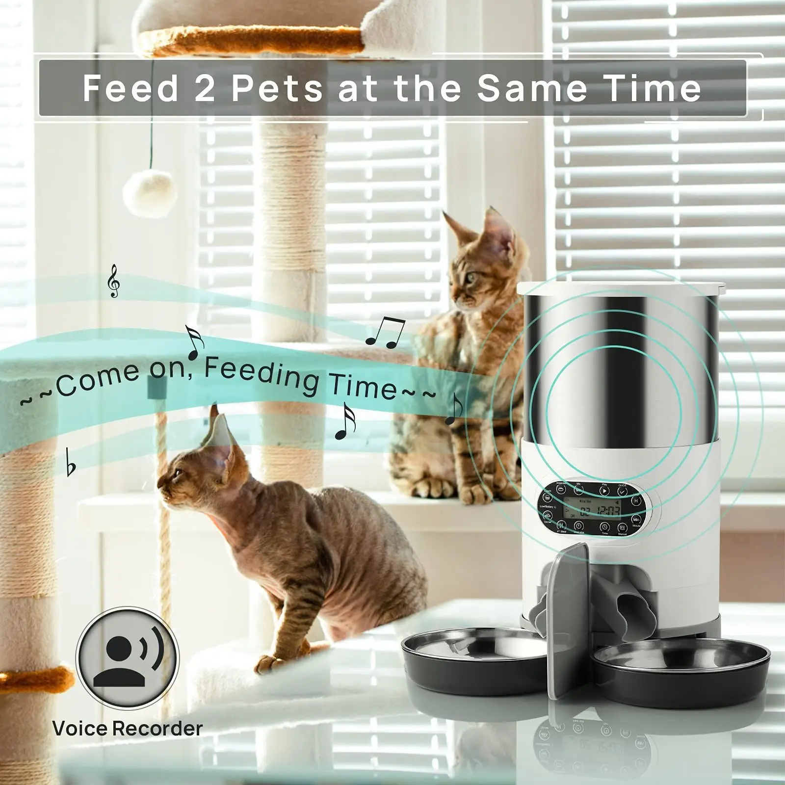 Stainless steel pet feeder, pet timed automatic feeder, 4.5L large capacity pet dog double plate feeder