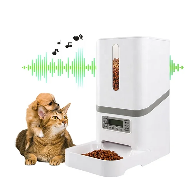Auto Pet Dry Food Dispenser 10s Voice Recorder 6L Smart Automatic Pet Feeder Cat With Portion Controls 4 Meals Per Day