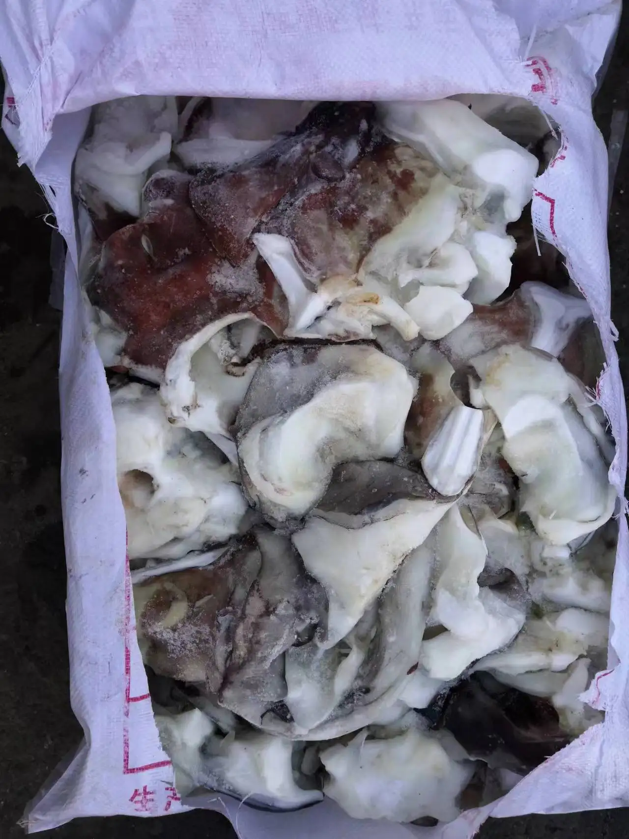 Frozen squid neck for sale squid neck giant squid neck