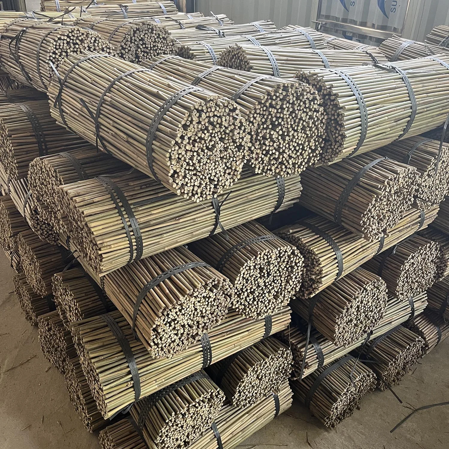 Treated Bamboo Stakes Yellow bamboo Cane flower support Pole