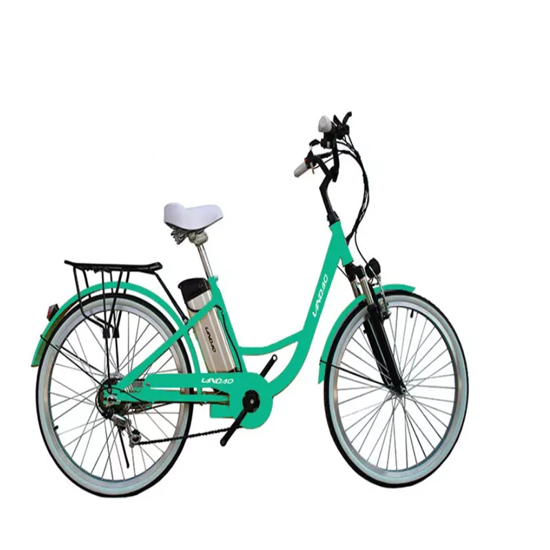 26 Inch Mountain E Bike Mtb E Bike Europe/best Electric Bike for Hills Standard 36V 250W Can Assemble in China and Europe