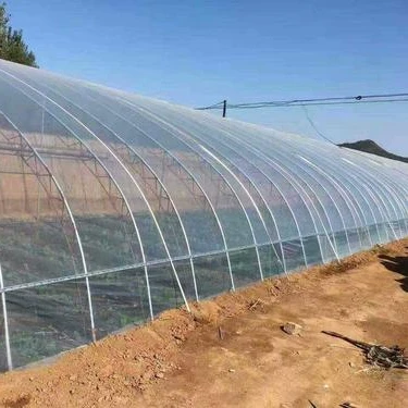 Factory price agricultural use Plastic greenhouse film UV protection pe film greenhouse