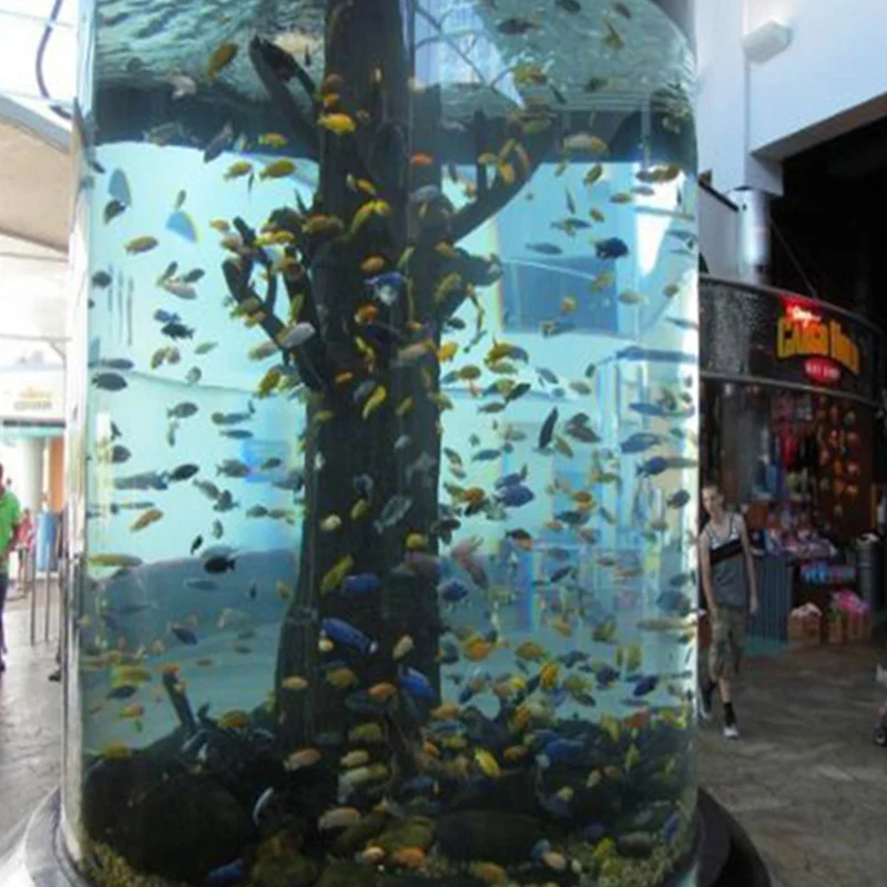 Custom wholesale cheap hot sale modern high quality spa sea acrylic fish tank large