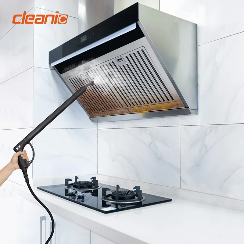 Heated carpet washing cleaner machine extractor injector steam vacuum cleaner for carpet sofa dust mite removal