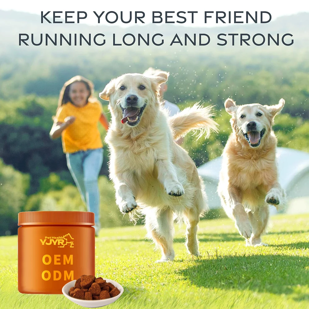 Wholesale Private Label Probiotic  Digestive Health Supplement Pet Supplements Probiotics for dogs Beef flavor