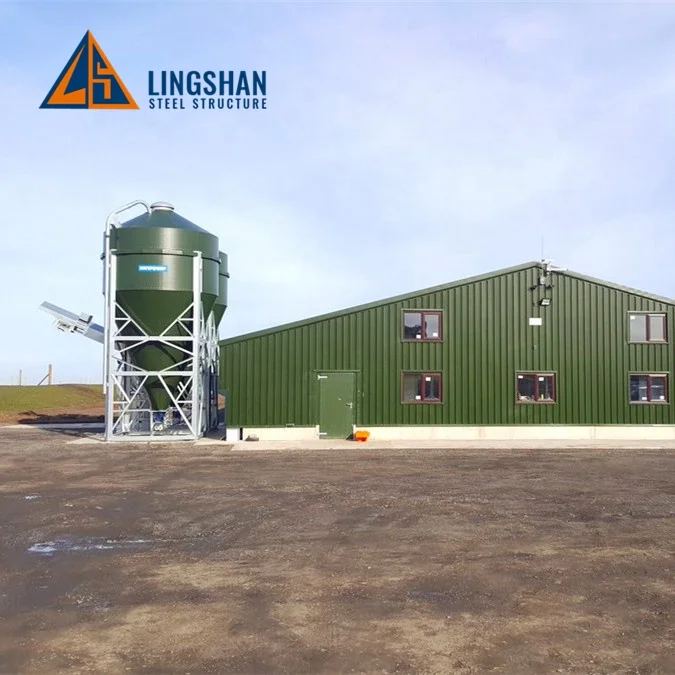 Chicken House Poultry Breeding Greenhouse Large Size Low Cost PVC Steel Materials Single Double Square Agriculture Plant Use