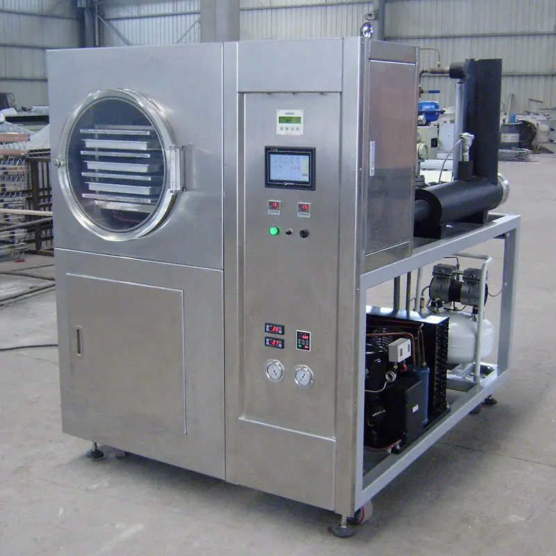 hot sale freeze drying machine sublimation condensation dryer vacuum lyophilizer freeze dryer