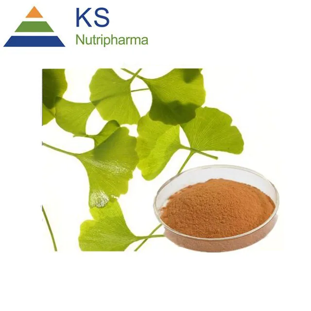 
Factory supplier Natural ingredient Ginkgo biloba extract 24/6 