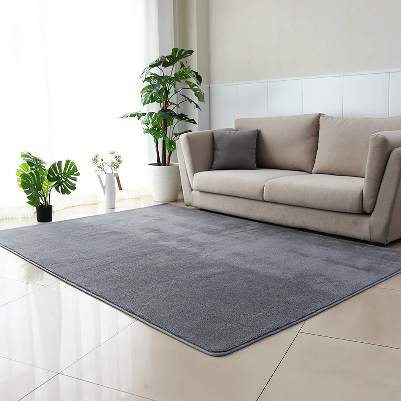 Solid Color Carpets and Rugs Living Room Nordic Cashmere Microfiber Rug Absorbent Fluffy Rugs