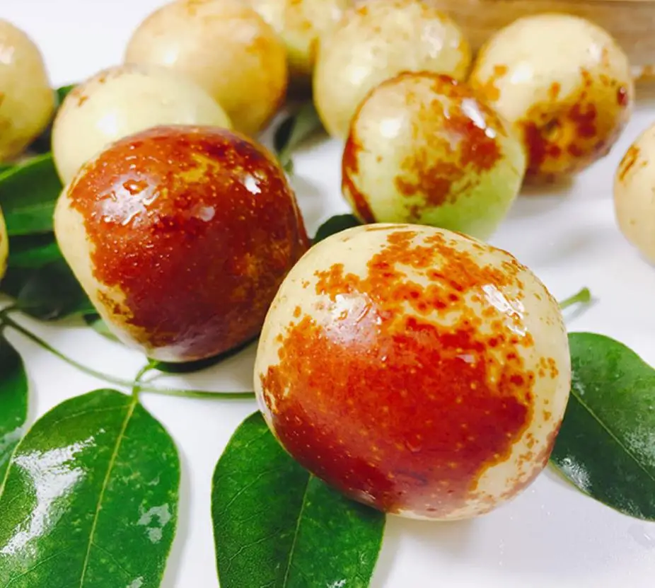 
Hot selling Chinese Fresh winter jujube /Dates fruits for export fruits market 