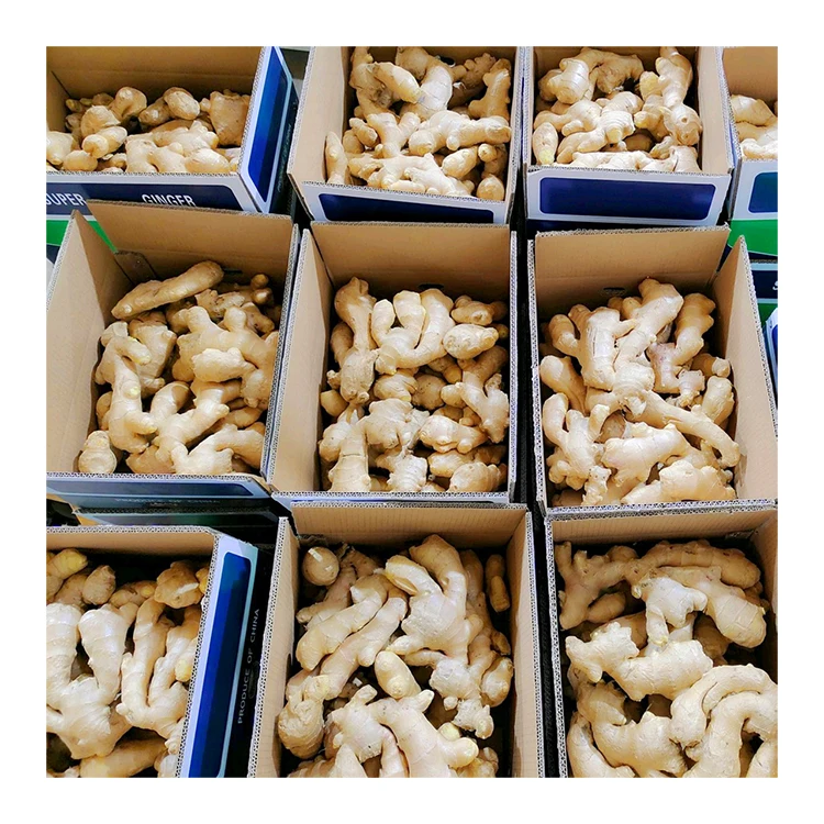 High quality Dry Ginger Professional export Fresh Clean ginger for wholesale  2023 newest crop Shipped within a week