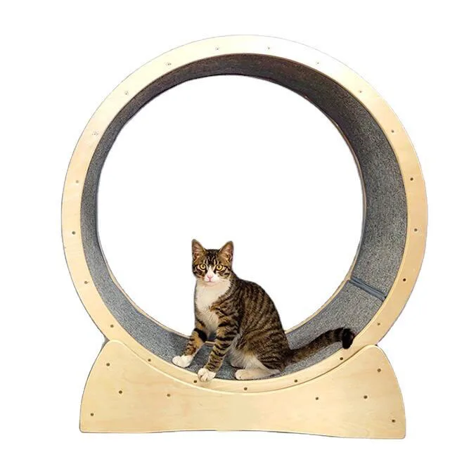 Wholesales Interactive Toys for Cats pet Toys running exercise wheel with washable pet blanket cat furniture