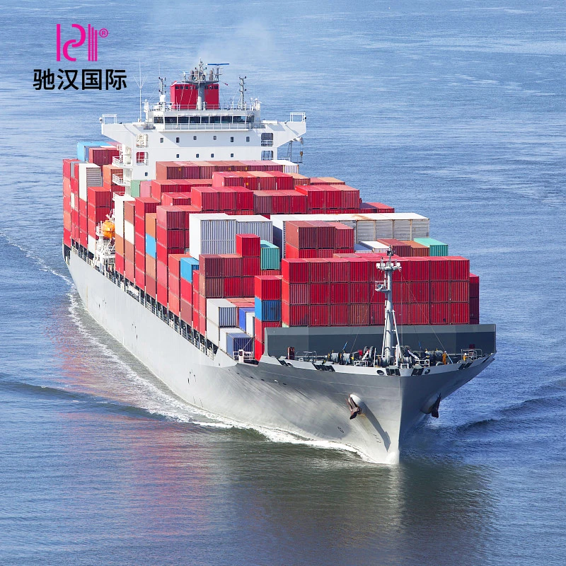 The cheapest sea freight forwarder international ship agent in China to Lithuania Sweden DDP service popular