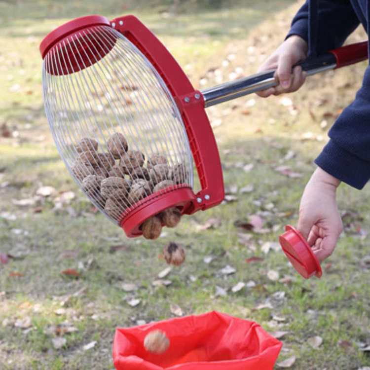 Hot sale nut gatherer ball pick up nut collector fruit picker garden tool picking up ping pong balls with stainless steel