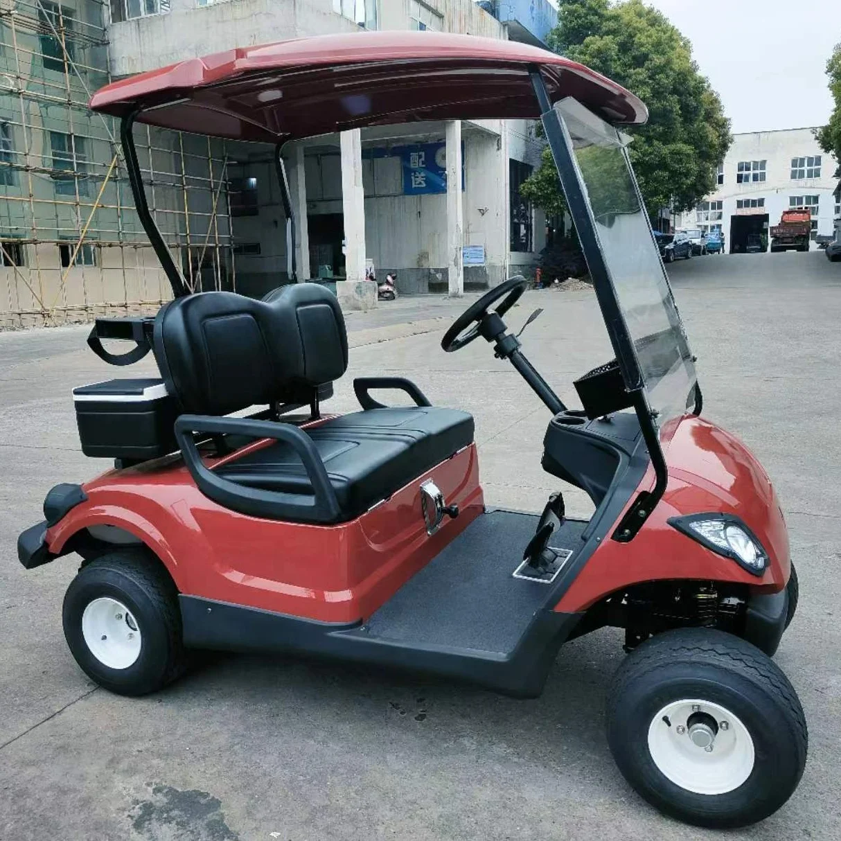 300cc 2 Seater gas powered golf cart with petrol engine gasoline classic two Passengers golf carts