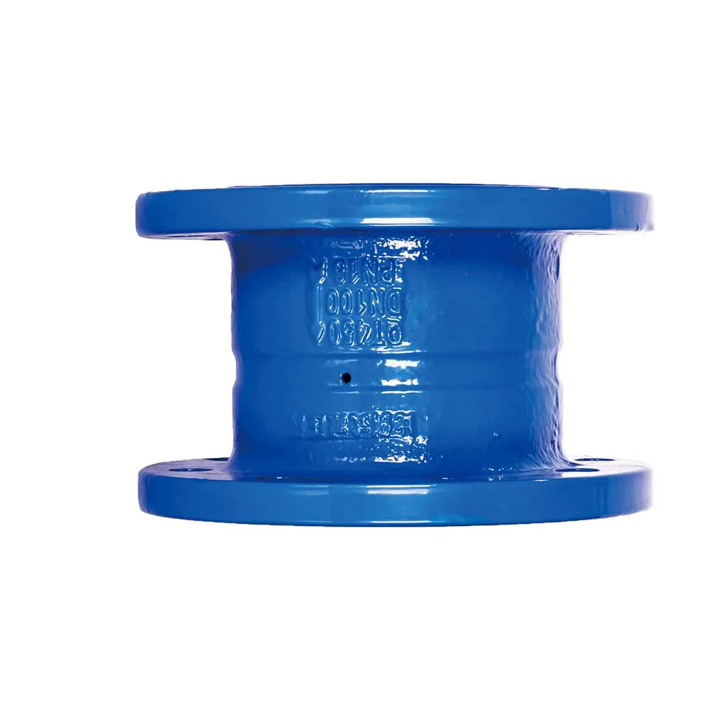 Stainless Steel 304 Cf8m Bsp Thread Vertical Spring Loaded Non Return Check Valve 1000wog