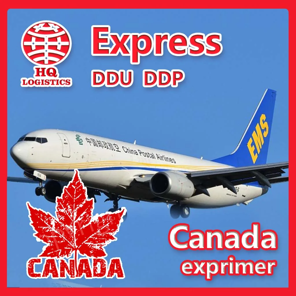 fast delivery Forwarding Agent Shipping Service To Canada from china ali ups fedex dhl express to canada