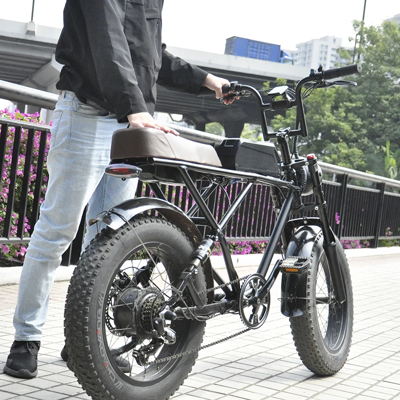 1000W New Design Ladies Fat Tire Folding Ebike R1 Series Retro Vintage Electric City Bikes
