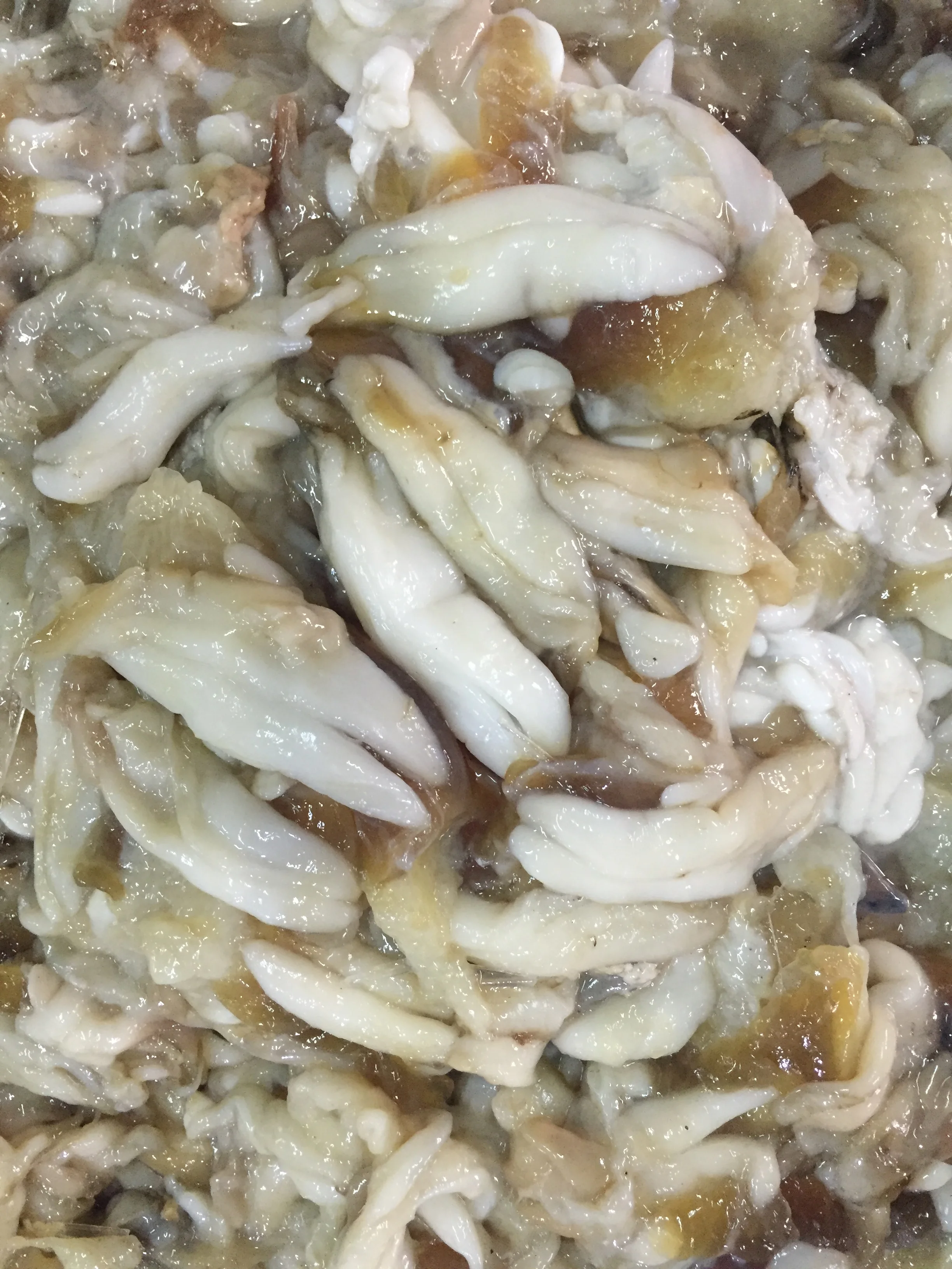 frozen Japanese flying squid roe