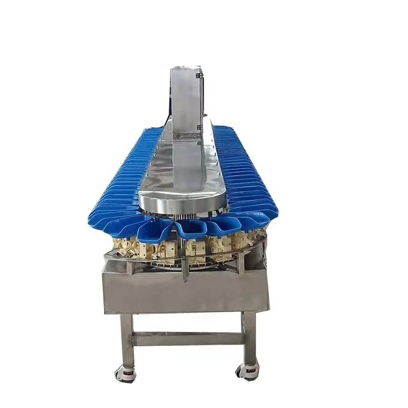 China manufacturer large round vegetable fruit cleaning polish grading machine for orange potato citrus