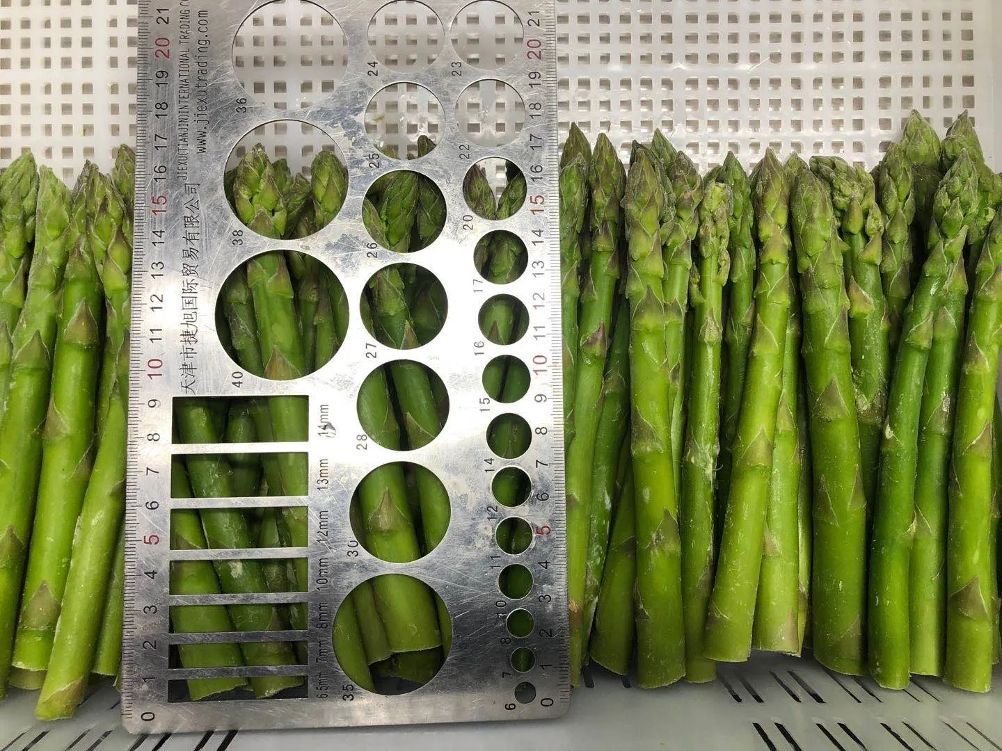  Новый урожай IQF green