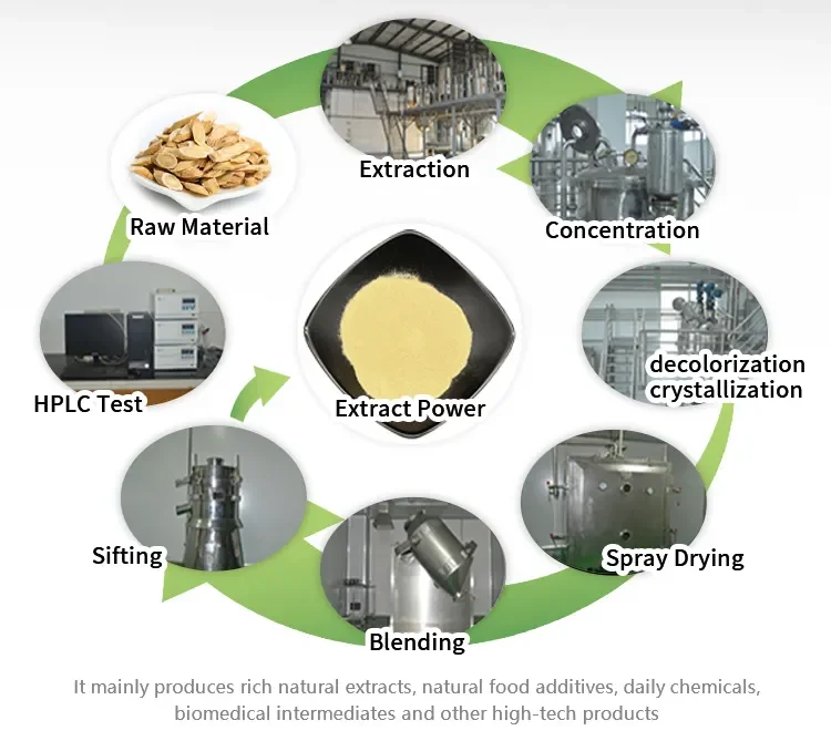 Natural Organic Spray Dried Avocado Powder Avocado Seed Powder