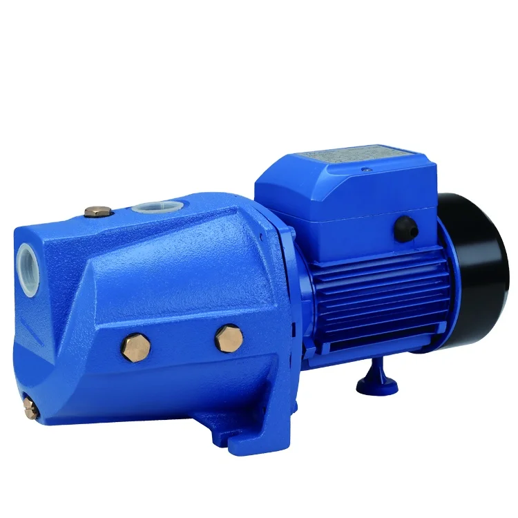 AC 220V Electric 1hp Water Pump Self-priming Jet Pumps
