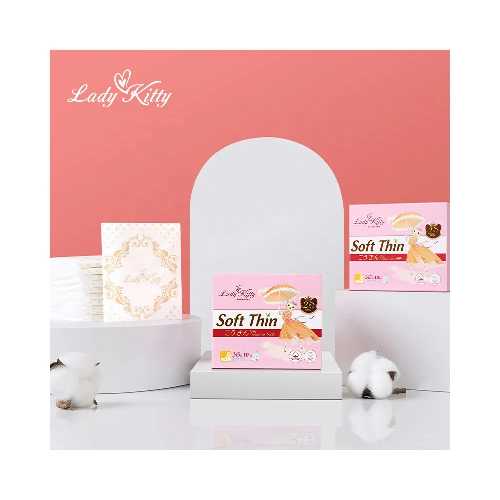 Lady Kitty Women Sanitary Pads Underwear Ultra Thin Nice Packaging Sanitary Napkin With CE Certificate