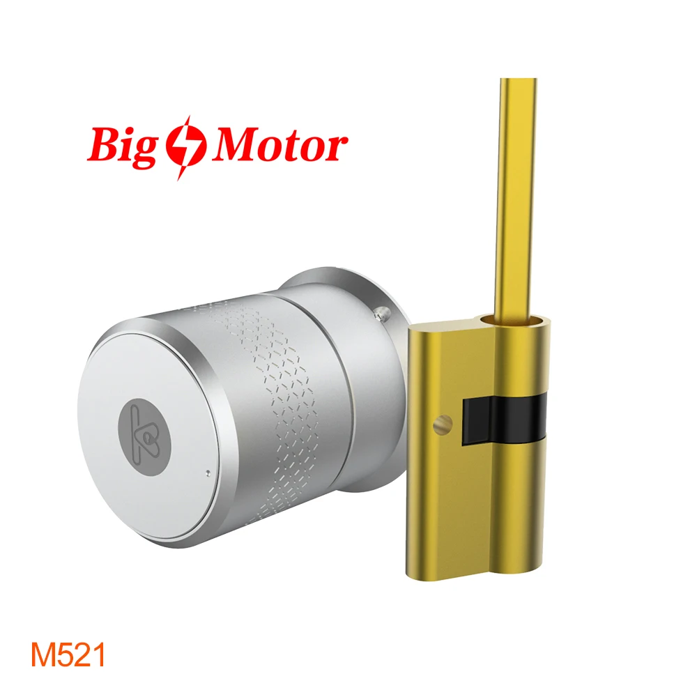 
M521 Big Motor Smart Lock Cylinder Support Multi-point Mortise Lock Auto Smart Door Locks for wooden doors 