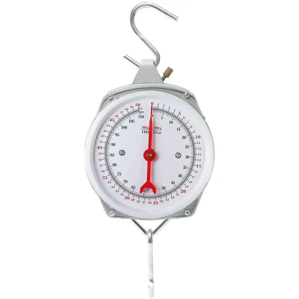 Commercial Small Spring Hanging Scale 100/200 Double Scale Disc Pointer Mechanical Cross border English Hanging Scale