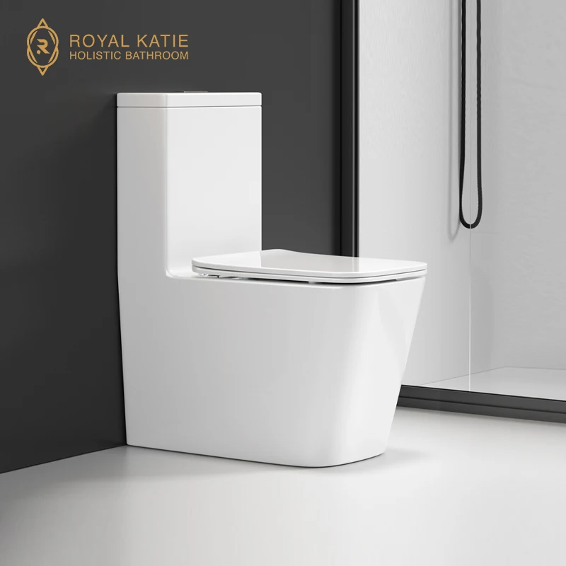 Hotel Project Modern Traditional WC  One Piece Toilet Bowl Ceramic Water Closet Bathroom Washdown Flushing Toilet