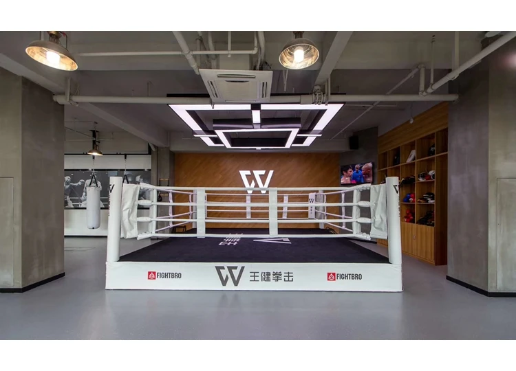 FIGHTBRO BG5 Custom Wholesale Approved Boxing Ring Price Ropes Canvas Cover Floor Professional Boxing Ring