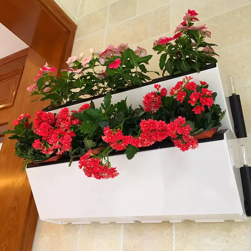 vertical garden green wall miniature garden