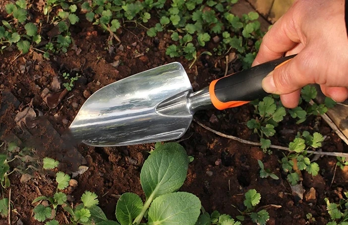 Colorful Gardening Tools Bonsai Tree Real Plant Carbon Steel Gardening Bonsai Tool Set For Trimmin