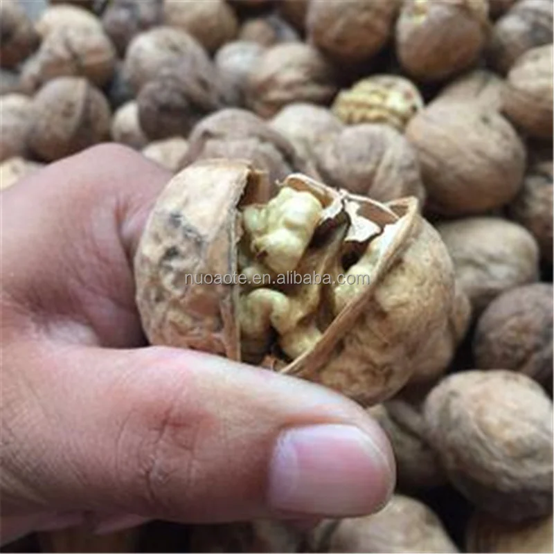 Raw Processing Cheap Walnuts Kernel 100% Natural Walnut