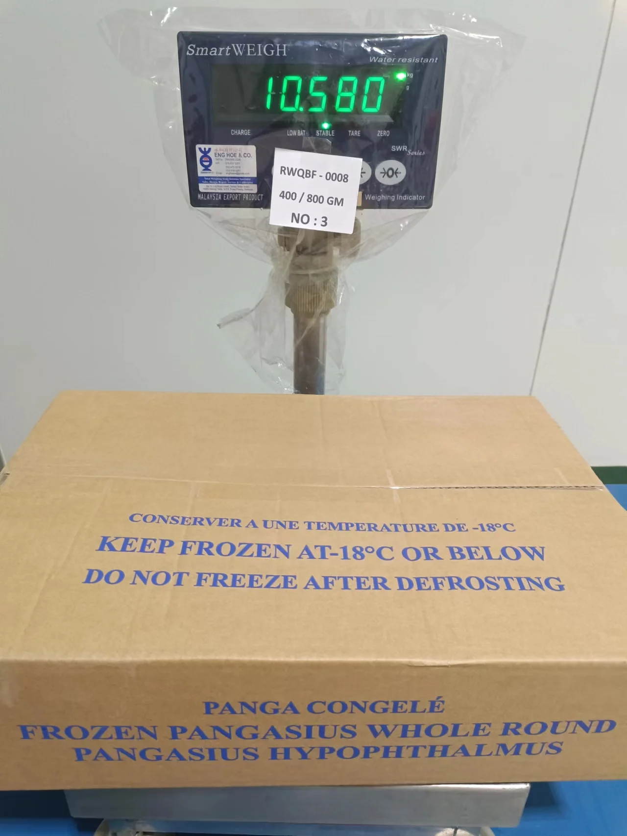 Export Standard  Frozen Vietnam basa fish  pangasius from Mekong Whole Fish Malaysia Frozen Fish Basa High Quality