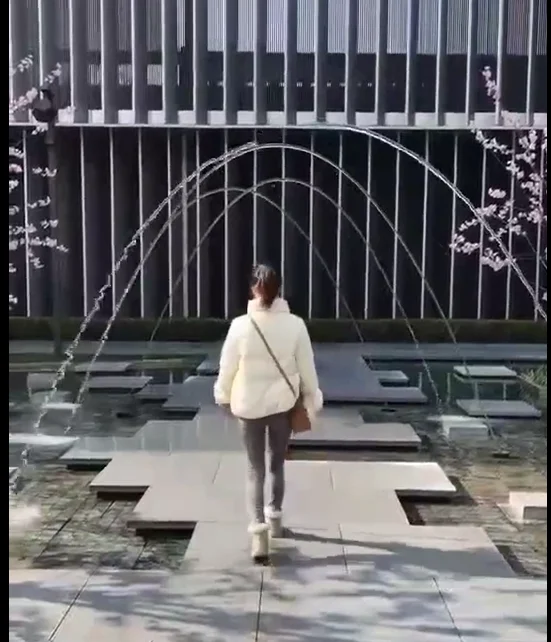 Stainless Steel Leaping jumping jet fountain fountain with DMX Control jumping water jet