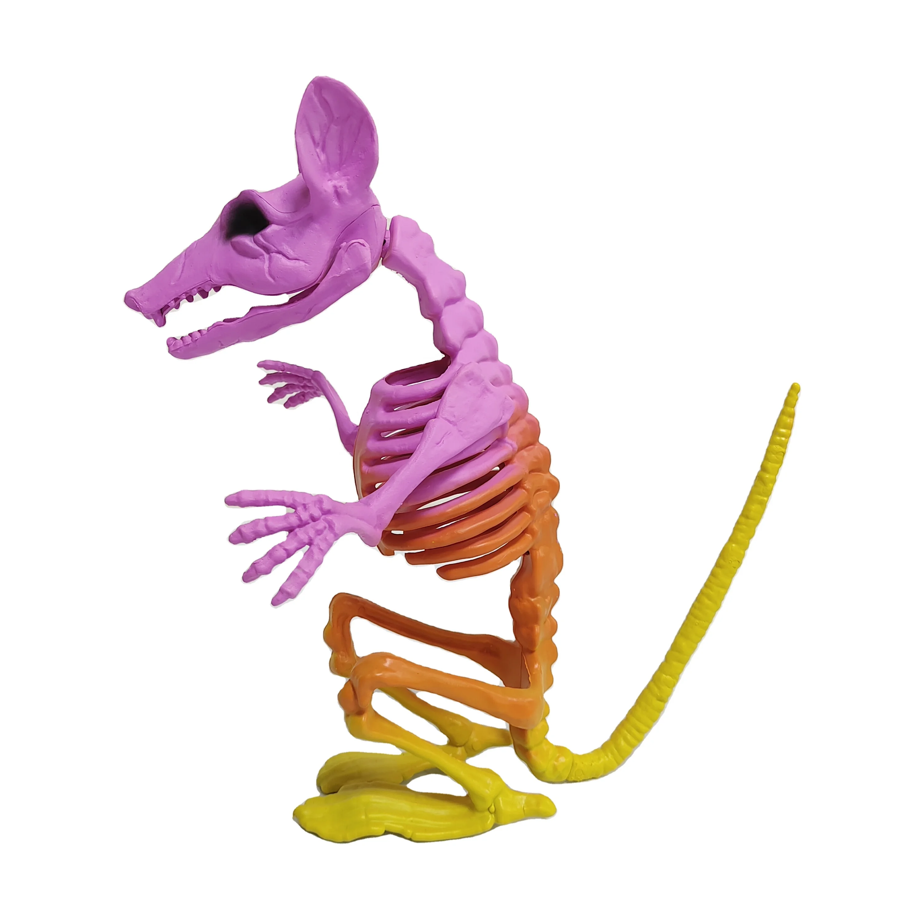 Plastic Skeleton Teaching Model Animal Anatomical Model Life Size Mouse Skeleton Halloween Decor