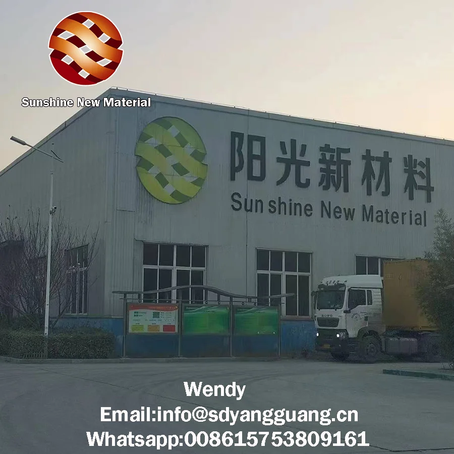 Asphalt grid fiberglass geogrid for road construction